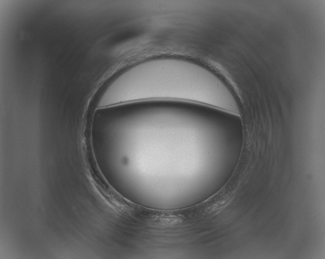 X0000073700443200608031019