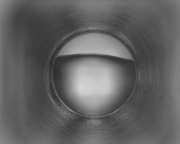 X0000073700444200608031019