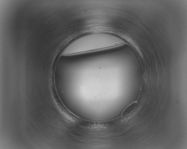 X0000073700445200608031019