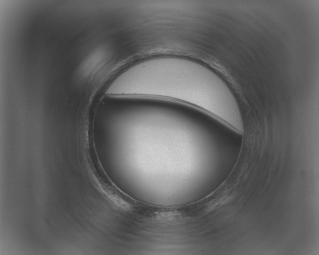 X0000073700446200608031019