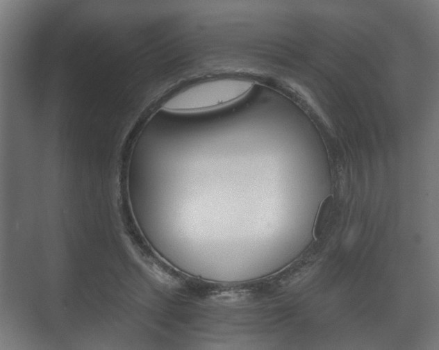 X0000073700447200608031019