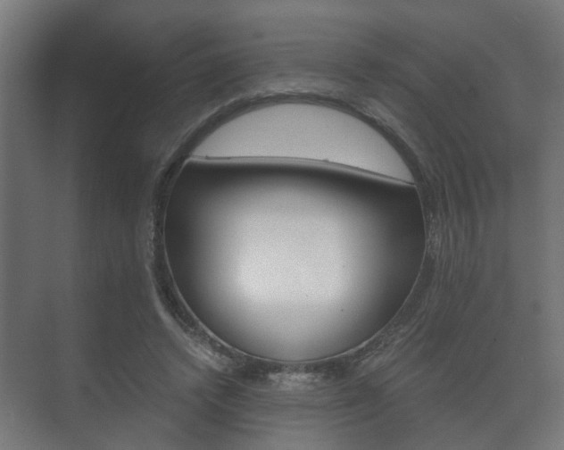 X0000073700448200608031019