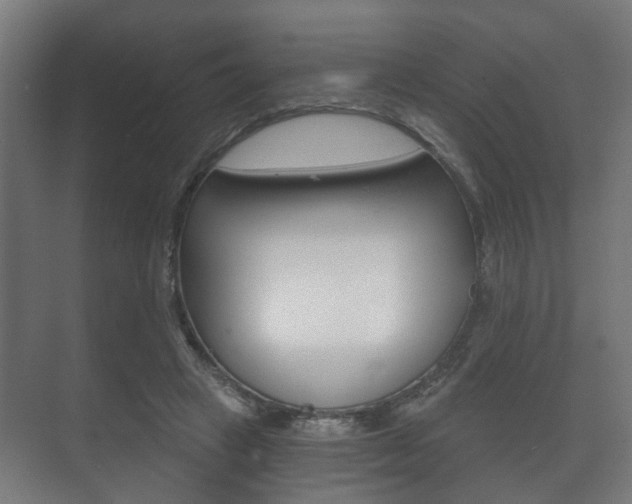 X0000073700449200608031019