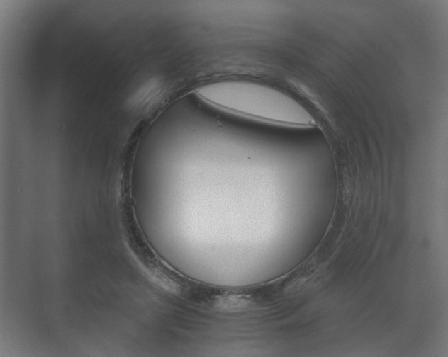 X0000073700451200608031019