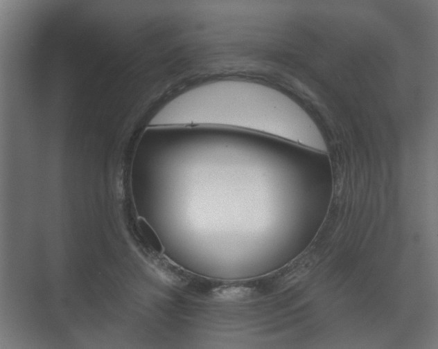 X0000073700452200608031019