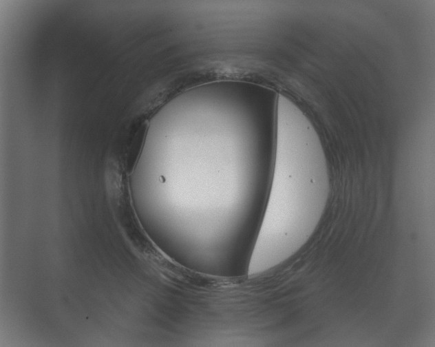 X0000073700456200608031019