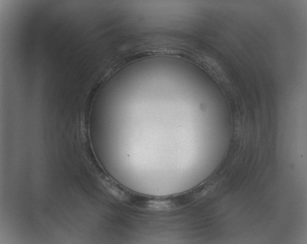 X0000073700457200608031019