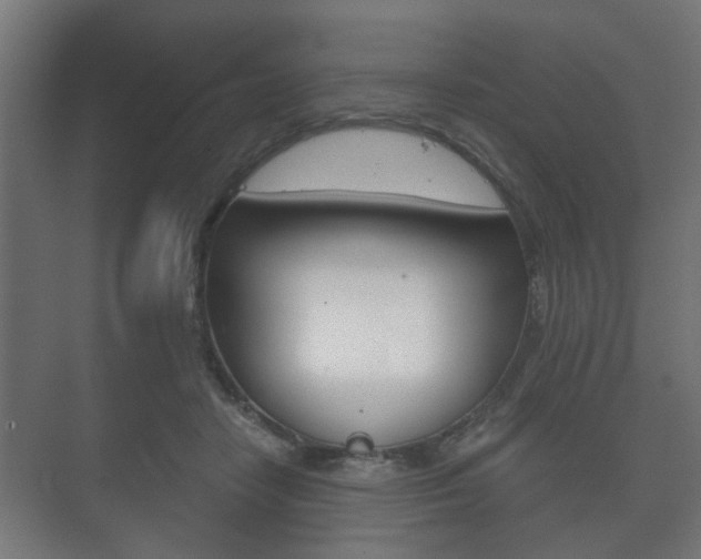 X0000073700458200608031019