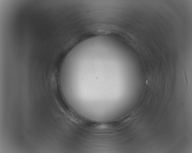 X0000073700460200608031019