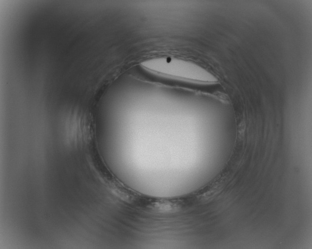 X0000073700464200608031019