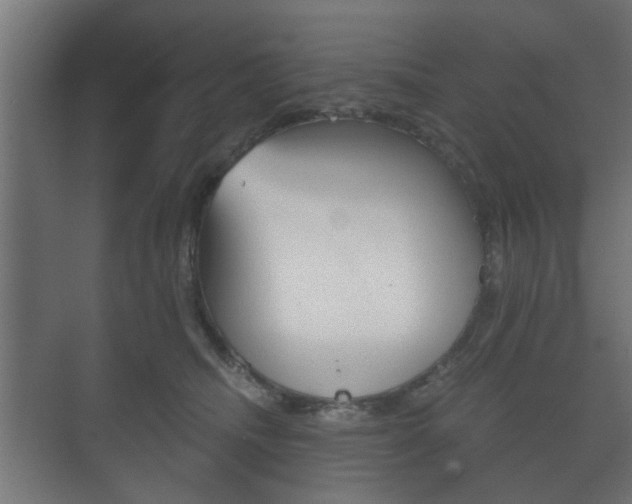 X0000073700468200608031019