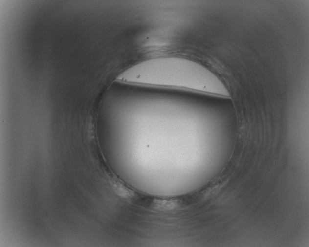 X0000073700469200608031019