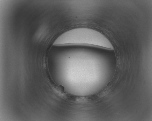 X0000073700470200608031019