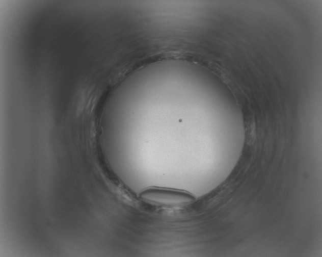 X0000073700472200608031019