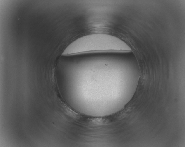 X0000073700473200608031019