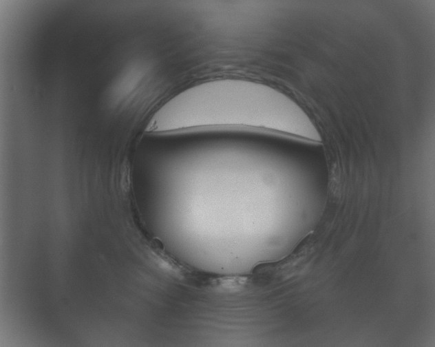 X0000073700474200608031019