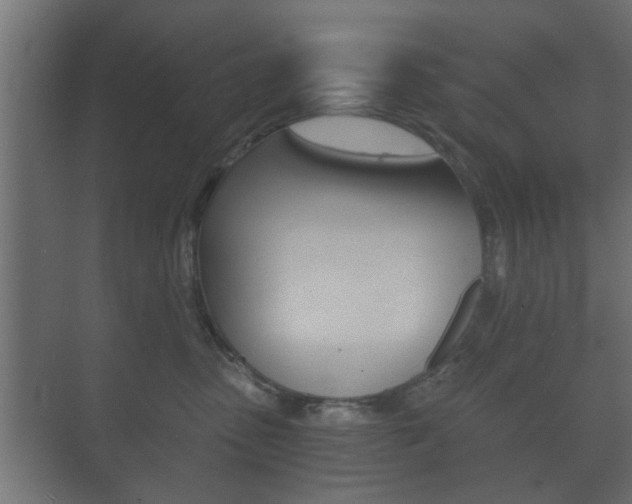 X0000073700475200608031019