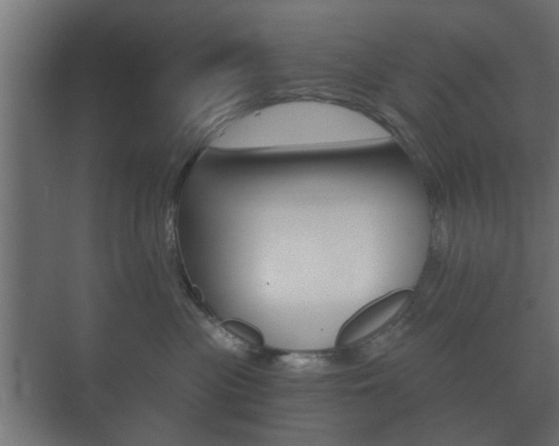 X0000073700477200608031019