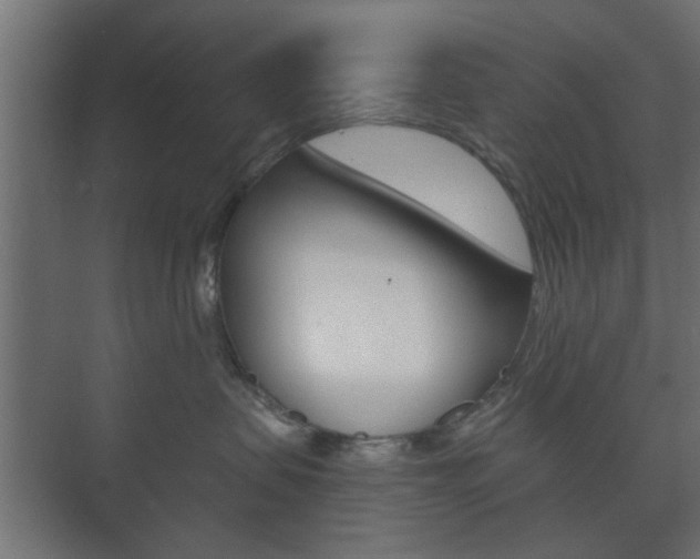 X0000073700479200608031019