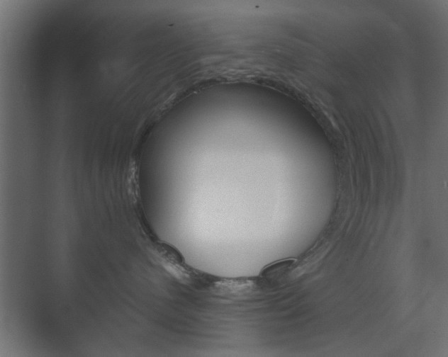 X0000073700480200608031019