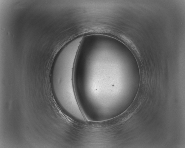 X0000073700481200608031018