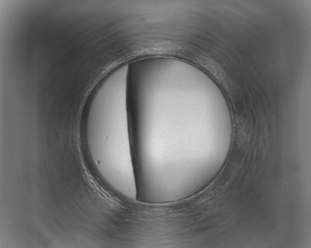 X0000073700482200608031018