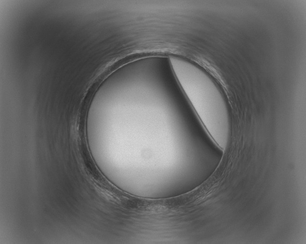 X0000073700483200608031018