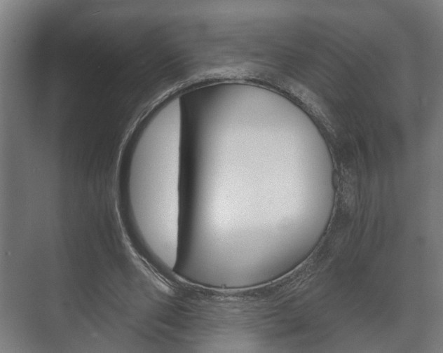 X0000073700486200608031018