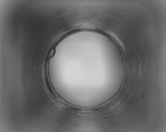 X0000073700487200608031018