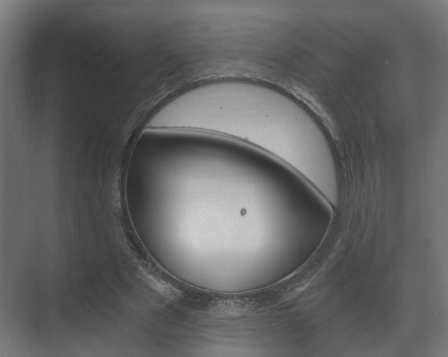 X0000073700489200608031018