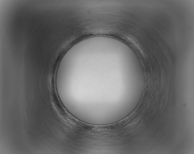 X0000073700491200608031018