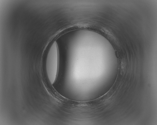 X0000073700492200608031018