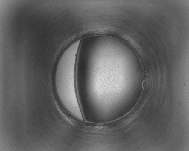 X0000073700493200608031018