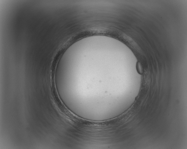 X0000073700494200608031018