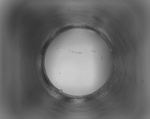 X0000073700495200608031018