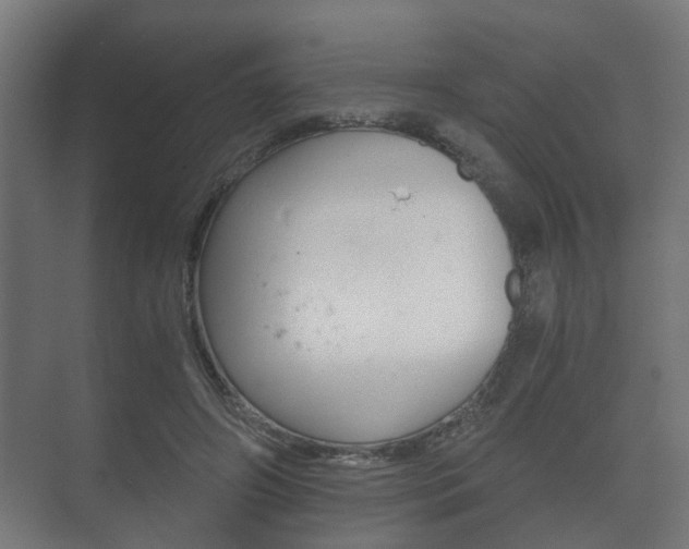 X0000073700498200608031018