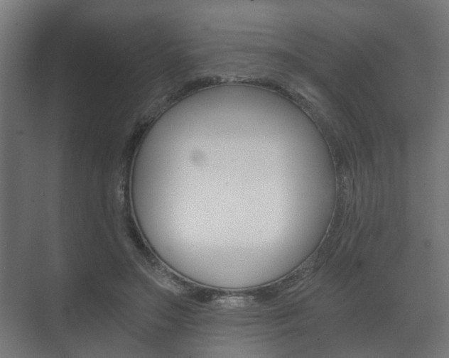 X0000073700499200608031018