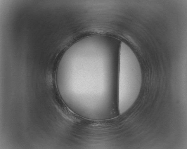 X0000073700500200608031018