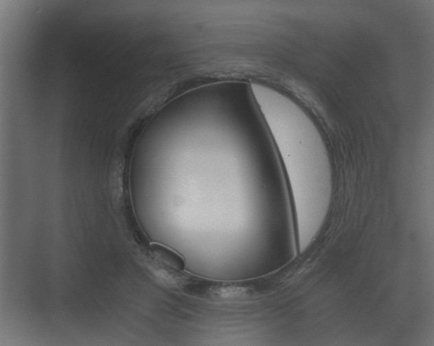 X0000073700501200608031018