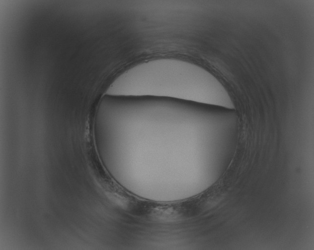 X0000073700502200608031018