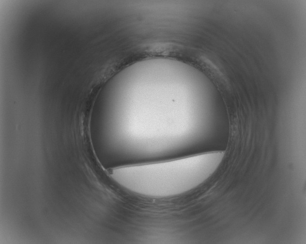 X0000073700504200608031018