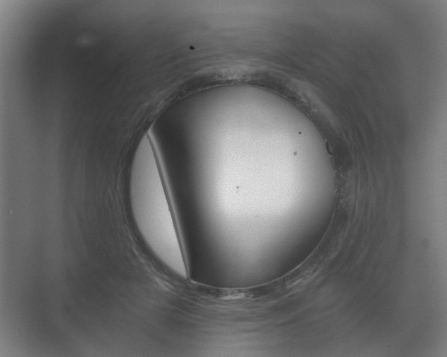 X0000073700505200608031018