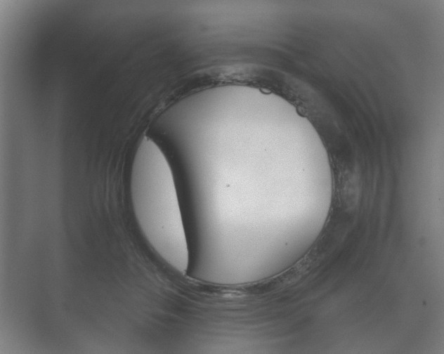 X0000073700506200608031018