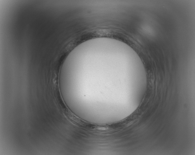 X0000073700507200608031018