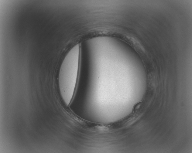 X0000073700509200608031018