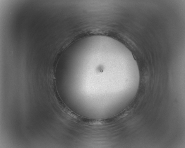 X0000073700513200608031018