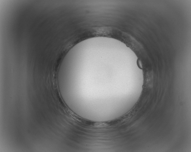 X0000073700514200608031018