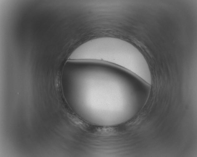 X0000073700517200608031018