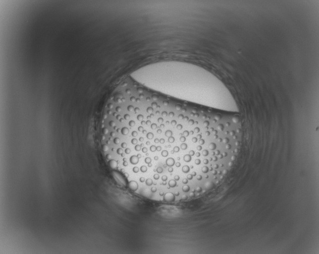 X0000073700519200608031018