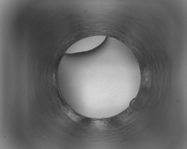 X0000073700522200608031018